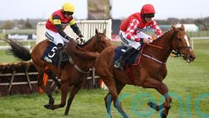 Knight Salute likely to miss rest of the season after ‘severe setback’