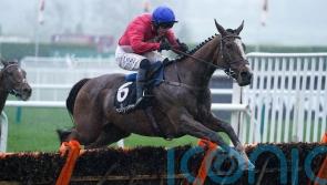 No date set for return of Sir Gerhard after injury setback