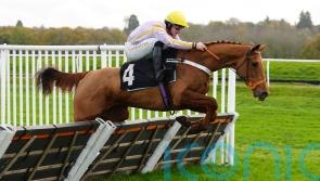 Henderson has Tolworth assignment pencilled in for Luccia