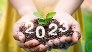 Gardening trends for 2023 – experts make their predictions