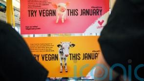 Is Veganuary even affordable this year? 7 cost-cutting tips