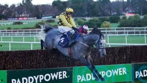 Gaillard Du Mesnil breaks chasing duck with Grade One glory