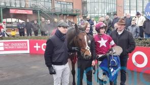 O’Brien sights set on Cheltenham with Scarlet And Dove