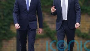 Harry left with ‘bruises’ after William’s alleged assault: How to deal with severe sibling conflict