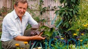Nick Hamilton: What my gardening legend dad Geoff taught me