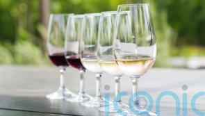 5 phenomenal South African wines to toast Love Island with