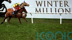 Frost covers deployed as Lingfield bids to beat the freeze