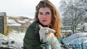 Our Yorkshire Farm star Amanda Owen on co-parenting following split from husband