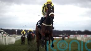 Willmount delighting Mulholland since exciting debut