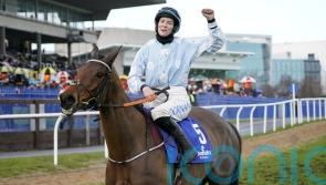 Honeysuckle and State Man set for Leopardstown clash