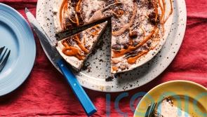 The Batch Lady’s Oreo peanut butter ice cream cake recipe