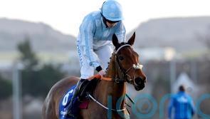 Mares’ Hurdle or retirement for Honeysuckle, but no Champion Hurdle