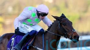 Gaelic Warrior has ‘serious engine’ and exciting ambitions at Cheltenham