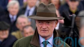 Willie Mullins calls for new whip rules to be delayed
