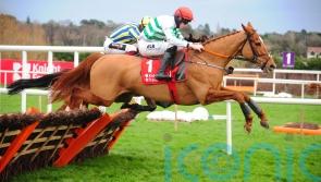 Zanahiyr faces losing third place in last season’s Champion Hurdle