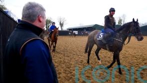 ‘Fresh and well’ Conflated poised to make his mark in Gold Cup