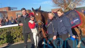 Hugos New Horse continues winning spree with four-timer