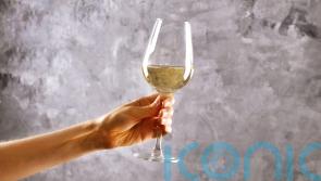 Raise a glass to spring with these fresh white wines