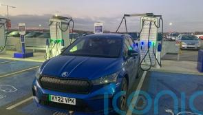 Long-term report: It’s a dog’s life in the Skoda Enyaq