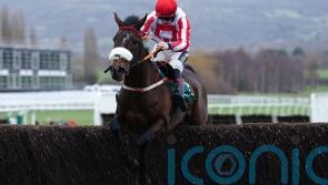 Neville enjoys memorable day with Catterick treble