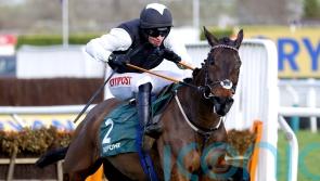 Flooring Porter making good progress towards Stayers’ Hurdle defence