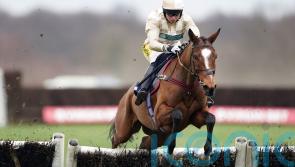 Aintree on Wadham’s mind for Hurricane Bay
