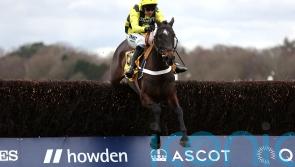 Nicholls readying Hitman to take on ‘awesome’ Shishkin in Ryanair