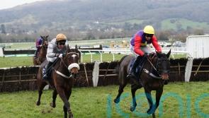 Gold Tweet leading two-pronged French raid on Stayers’ Hurdle