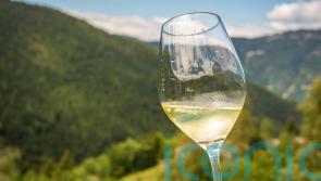 Kick off spring with 6 stunning sauvignon blancs