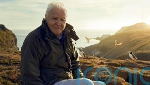 Have an Attenborough experience on your doorstep at these wildlife locations