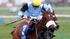 Mulholland sweet on Milkwood’s County chance