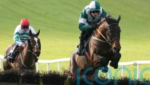 Blazing Khal given go-ahead for Stayers’ Hurdle challenge