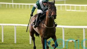 Blazing Khal steps up for Stayers’ task after troubled prep