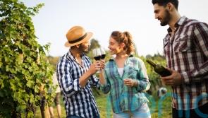 6 cabernet sauvignons to swoon over