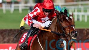 ‘Everything is so easy to him’ – Elliott full of hope with Mighty Potter
