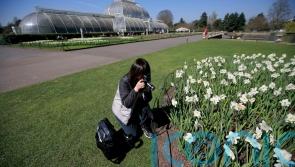 Paid-for attractions lag behind free sites as cost-of-living crisis bites