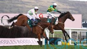 Colm Murphy back in Cheltenham winner’s enclosure with Impervious
