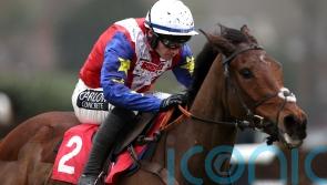 Punchestown consideration for Love Envoi ‘if she’s bouncing’