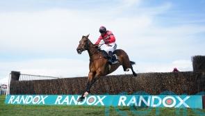 Ahoy Senor heading to Aintree if all goes to plan