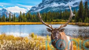 Enjoy your own Race Across The World in Canada