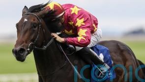 O’Brien pointing to Irish Guineas with Al Riffa
