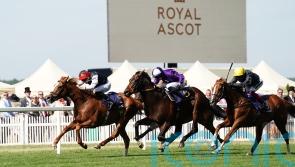 Aidan O’Brien raises Kyprios Gold Cup doubts