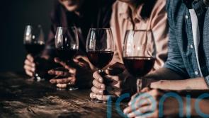 6 marvellous wines to mark Malbec World Day