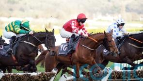 Risk Belle rewards favourite-backers – but only after anxious wait