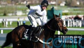 Megastar Constitution Hill all set to light up Aintree