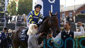 Trueshan returns in Further Flight Stakes