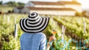 6 sensational rosé wines for summer sipping