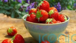 What’s in season to eat this spring?