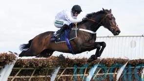 Constitution Hill in cruise control once again