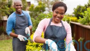 How to keep your home and garden protected as the days get lighter